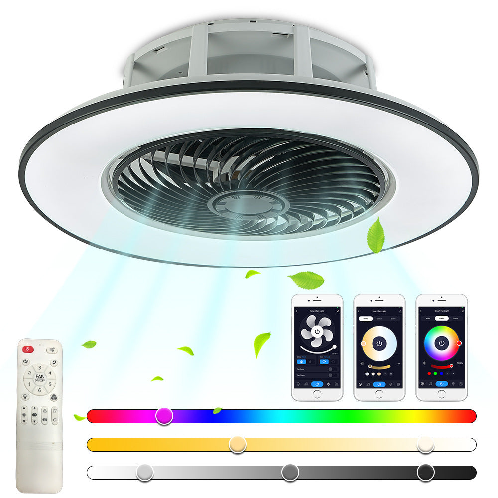 Smart Ceiling Fan/LED Light
